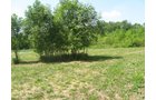 Property photo 13 - 27 Acres offered in 2 Tracts or Combination, Former U.A.W. Hall